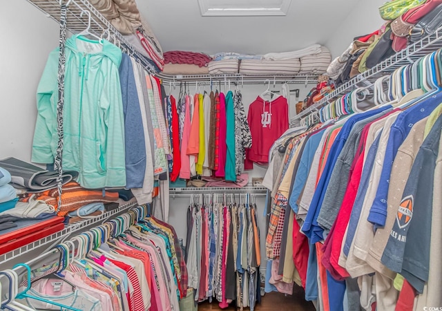 view of walk in closet