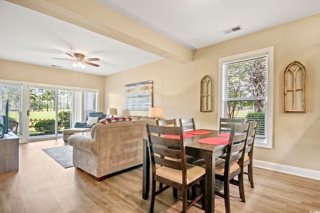 dining space featuring light wood-type flooring, beamed ceiling, plenty of natural light, and ceiling fan