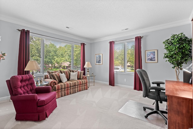 carpeted home office with crown molding and a textured ceiling