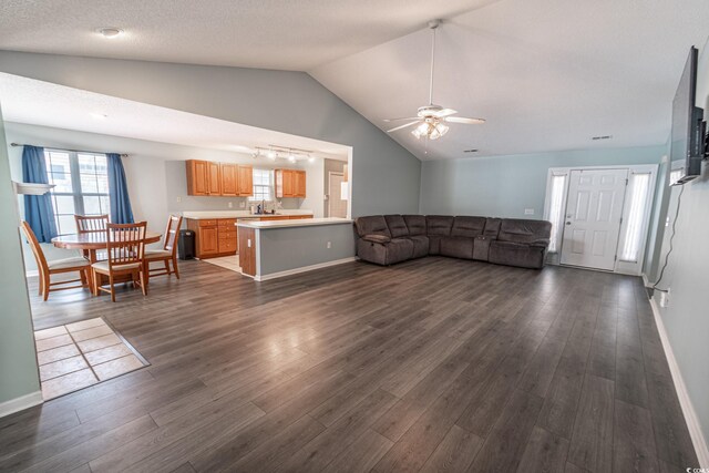 living room featuring vaulted ceiling, sink, dark hardwood / wood-style floors, ceiling fan, and a textured ceiling