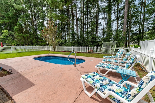 view of pool with a patio area