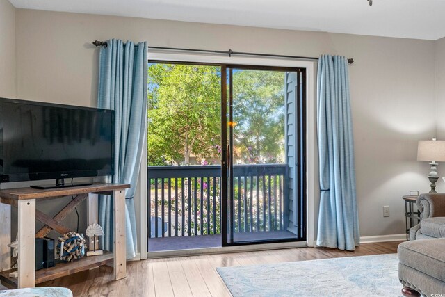 interior space featuring a wealth of natural light and light hardwood / wood-style floors