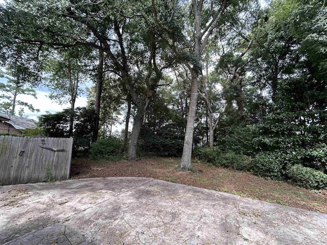 view of yard featuring a patio area