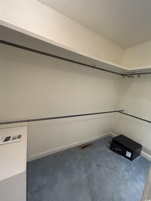 902 N 11th Ave N, North Myrtle Beach, SC 29582 - walk in closet featuring carpet and visible vents