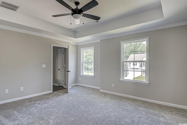 spare room with crown molding, carpet, ceiling fan, and a tray ceiling