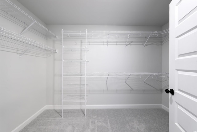 walk in closet featuring carpet flooring