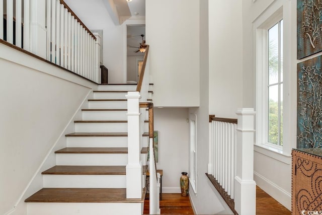 staircase featuring wood-type flooring