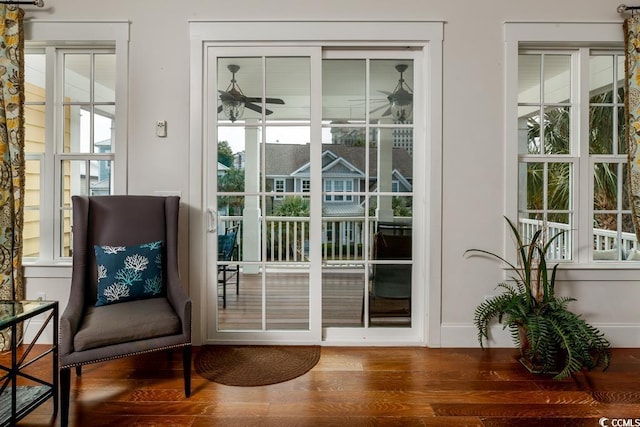 doorway featuring plenty of natural light, a ceiling fan, and wood finished floors