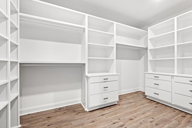 spacious closet with light wood-type flooring