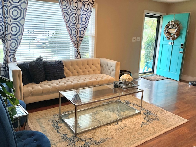 living room featuring hardwood / wood-style flooring