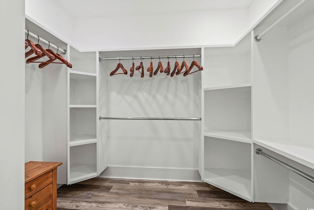 walk in closet with dark hardwood / wood-style flooring