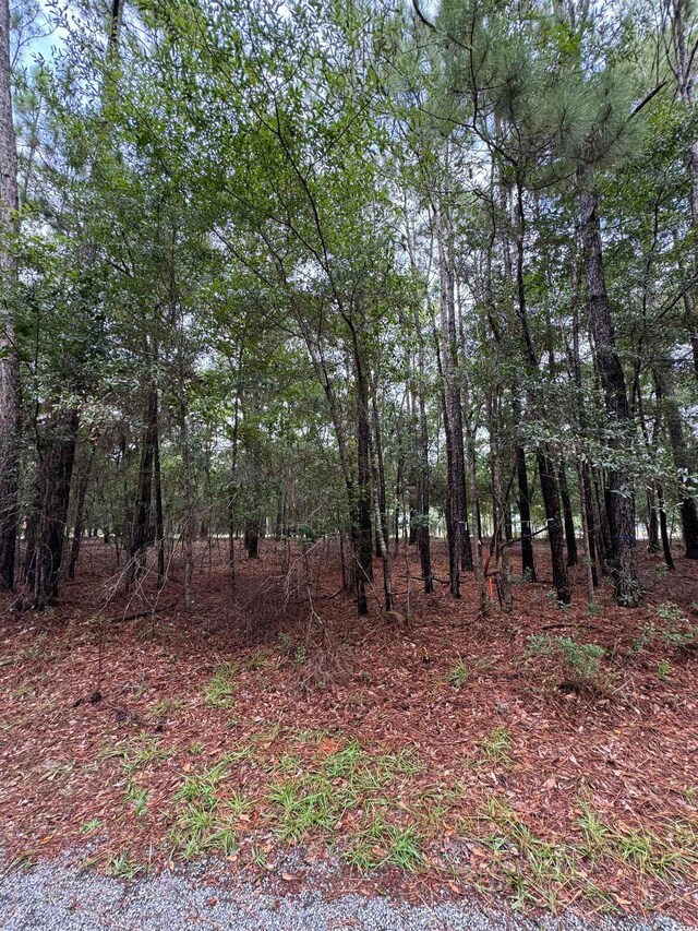 1694 Old Town Ave, Georgetown SC, 29440 land for sale