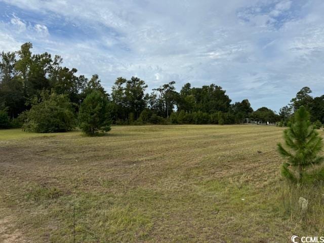 LOT2 Sand Plant Rd, Nichols SC, 29581 land for sale