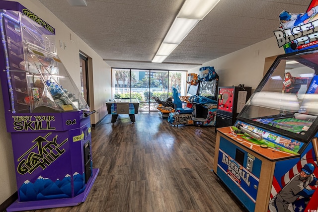 playroom with wood finished floors and floor to ceiling windows