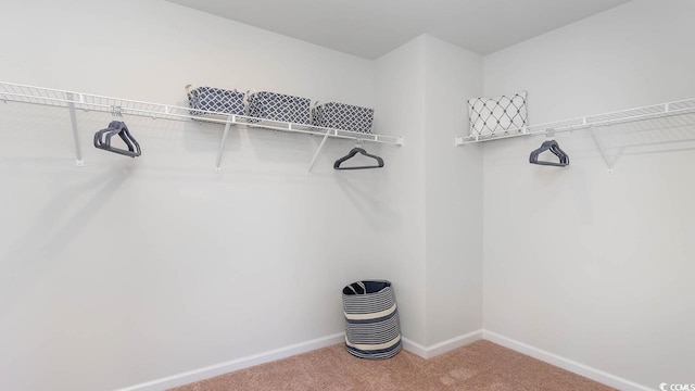 walk in closet with carpet