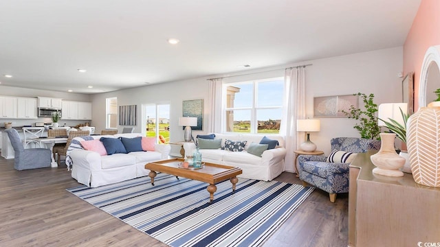 living room featuring dark hardwood / wood-style floors and a wealth of natural light