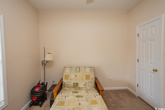 bedroom with carpet floors