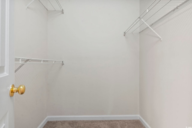 5810 Longwood Dr Unit 14-304, Murrells Inlet, SC 29576 - photo 12