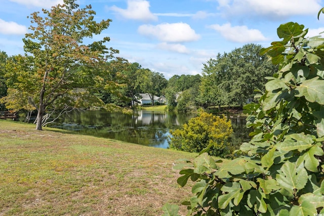 property view of water