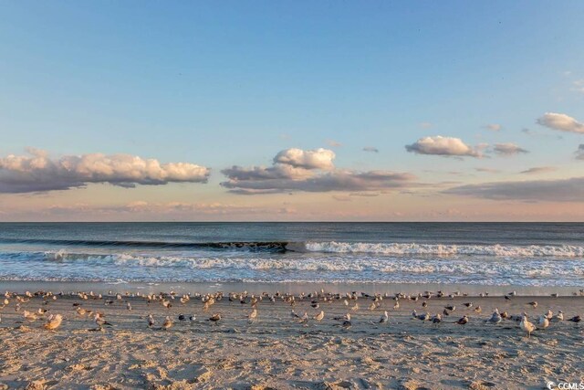 property view of water with a beach view