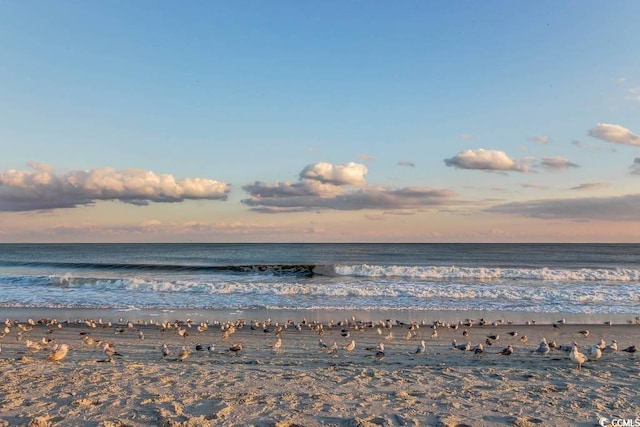 view of water feature with a beach view