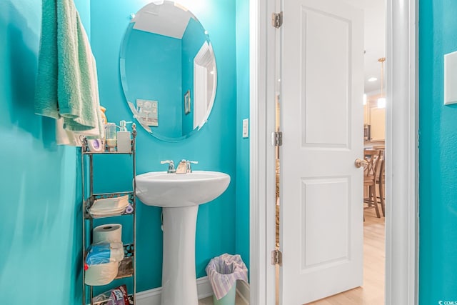 bathroom featuring wood-type flooring