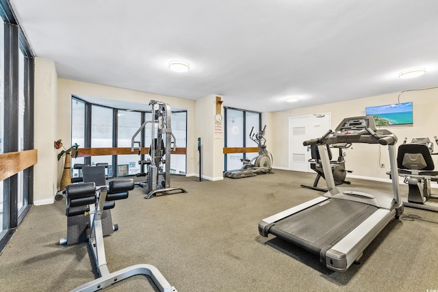 exercise room with carpet floors