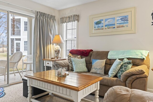 living room featuring carpet floors