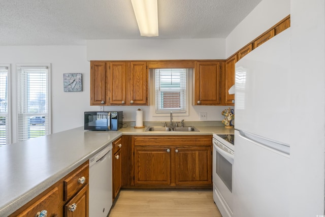 kitchen featuring light hardwood / wood-style floors, white appliances, sink, and plenty of natural light