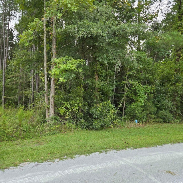 Listing photo 3 for 863 Windham Rd, Loris SC 29569