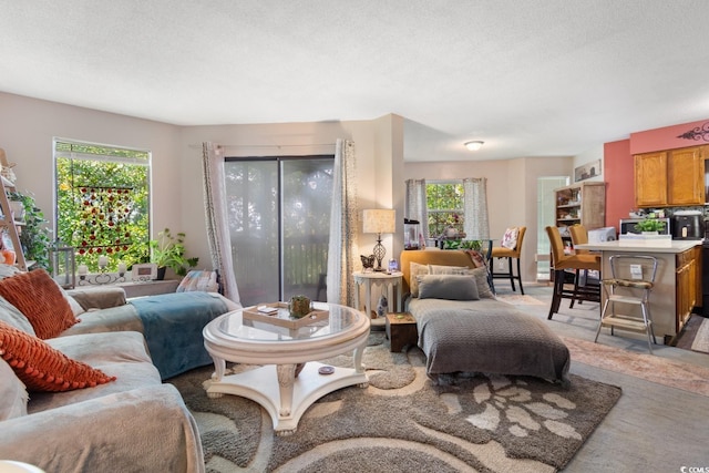 carpeted living room featuring a textured ceiling