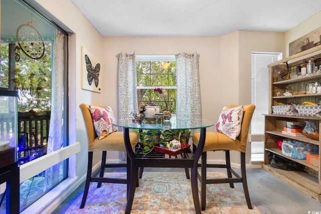 carpeted dining area with a textured ceiling