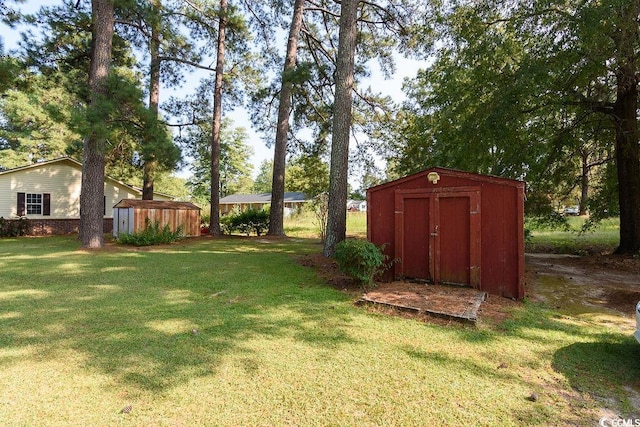 view of yard featuring a shed