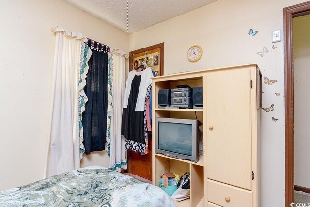 bedroom featuring a textured ceiling