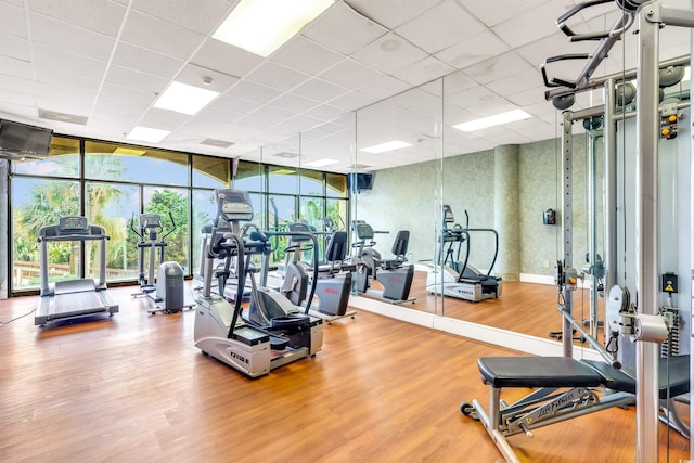 gym with floor to ceiling windows, hardwood / wood-style flooring, and a drop ceiling