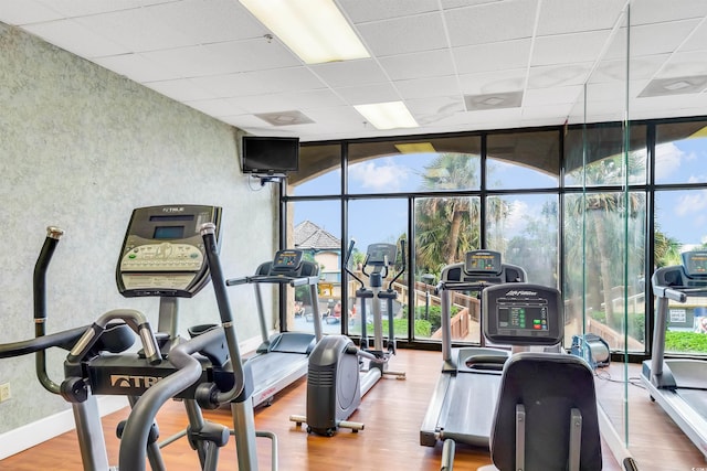 exercise room with hardwood / wood-style floors, floor to ceiling windows, plenty of natural light, and a drop ceiling