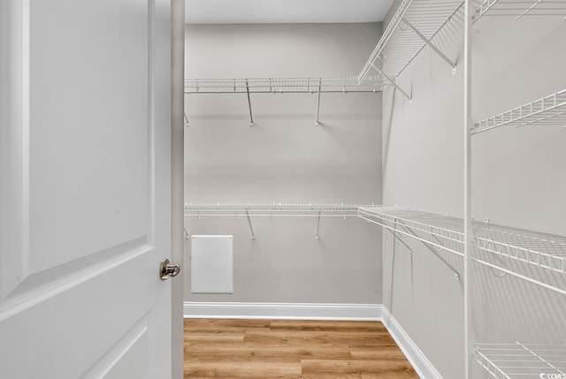 walk in closet featuring light wood finished floors