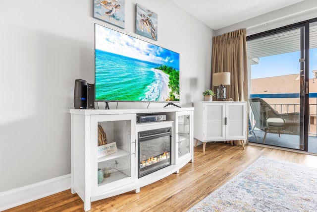 living room with hardwood / wood-style flooring