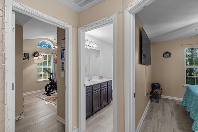 hall featuring light wood-type flooring, vaulted ceiling, and a healthy amount of sunlight