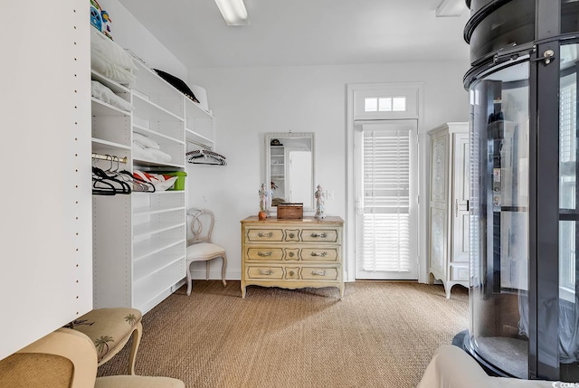 spacious closet featuring carpet flooring