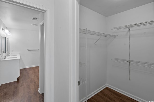 walk in closet with sink and dark hardwood / wood-style flooring