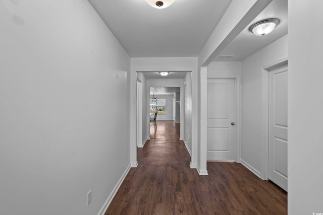 corridor with a notable chandelier and dark hardwood / wood-style flooring