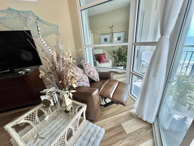 living room with light hardwood / wood-style floors