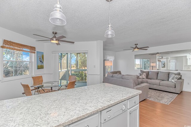 kitchen featuring white dishwasher, a wealth of natural light, light hardwood / wood-style floors, white cabinets, and decorative light fixtures