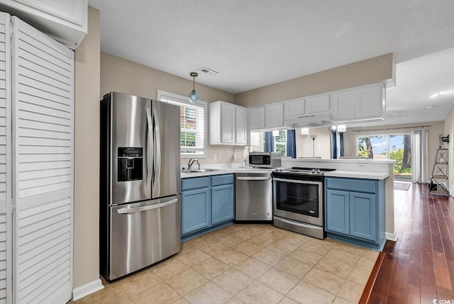 kitchen featuring appliances with stainless steel finishes, plenty of natural light, light hardwood / wood-style flooring, and decorative light fixtures