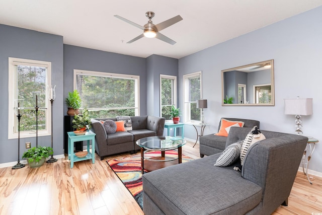 living room featuring ceiling fan, a wealth of natural light, and light hardwood / wood-style flooring