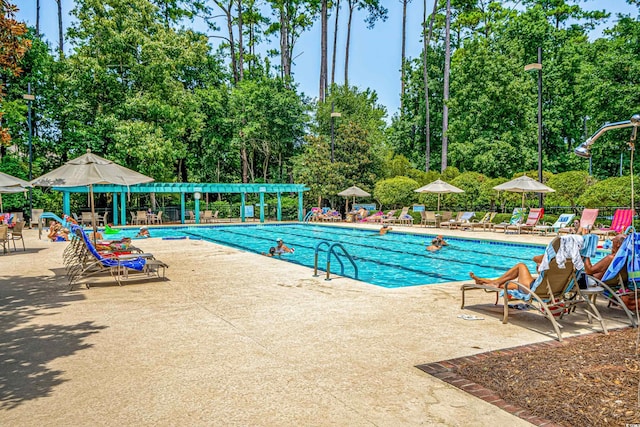 view of pool featuring a patio area