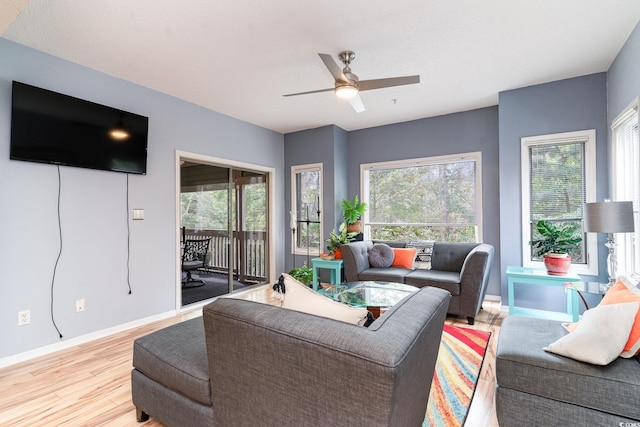 living room featuring a healthy amount of sunlight, light hardwood / wood-style flooring, and ceiling fan