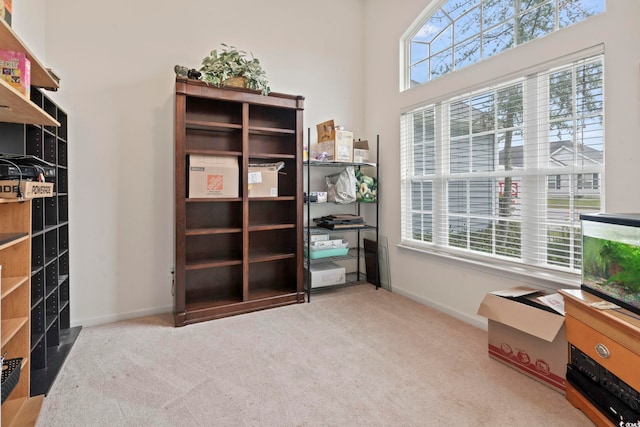 misc room with a high ceiling and light carpet