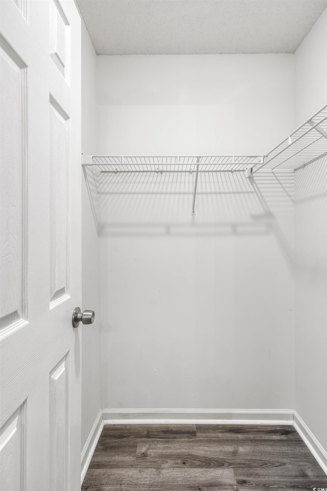 spacious closet featuring dark hardwood / wood-style floors